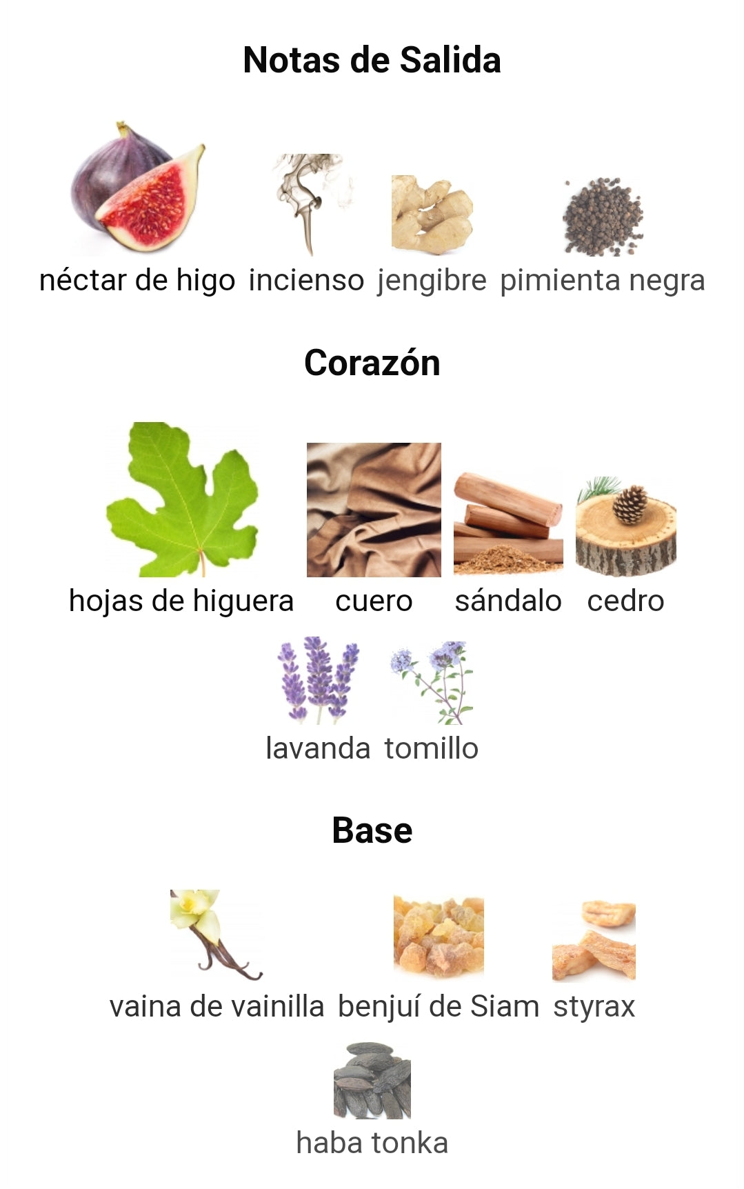 Fig Extasy edp - Mancera