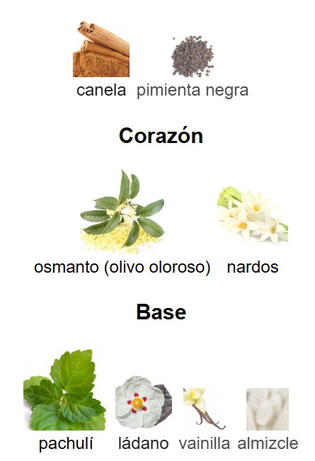 Midnight Petals - Jozoor