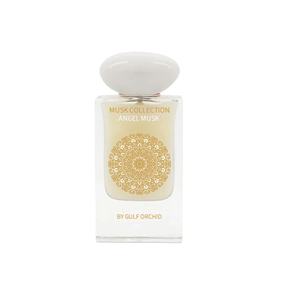 Angel Musk Gulf Orchid