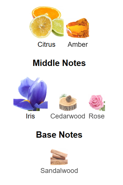 T12 Vibrant - Taif al Emarat