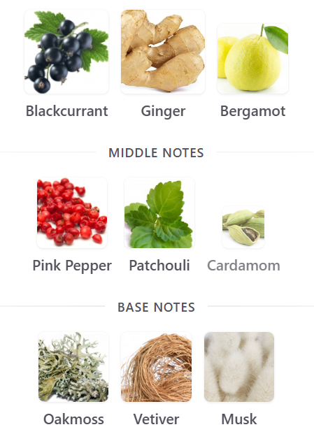 Absolute Thrill - Unscripted