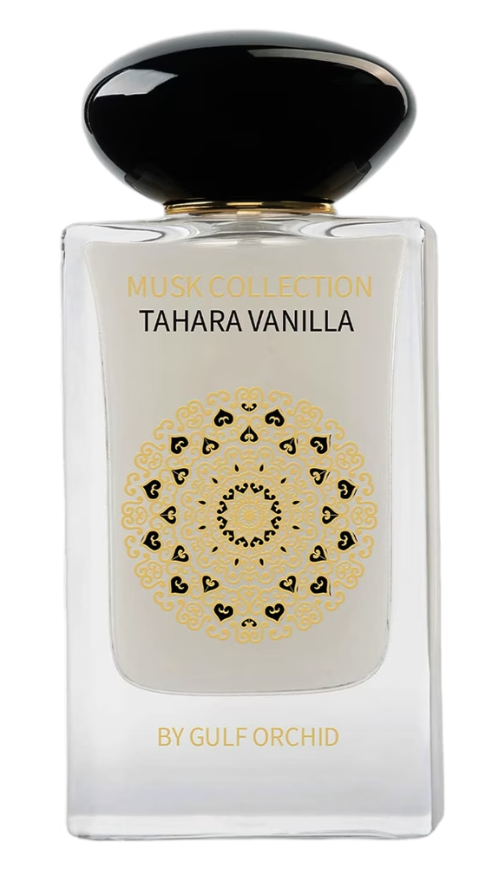 Vanilla Tahara - Gulf Orchid