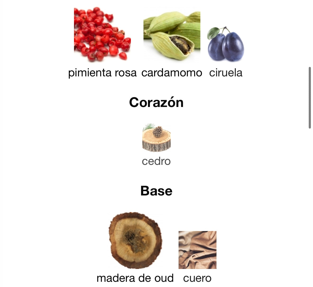 Whispers In Oud -Jozoor