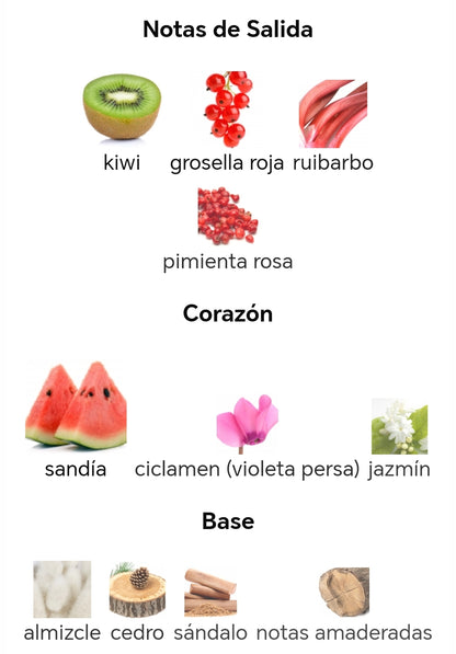 Tamima - Lattafa